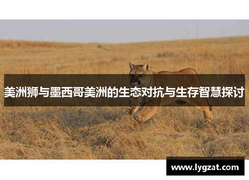 美洲狮与墨西哥美洲的生态对抗与生存智慧探讨