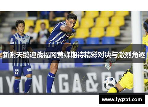 新谢天鹅迎战福冈黄蜂期待精彩对决与激烈角逐
